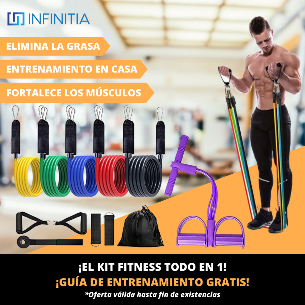 Bandas Elásticas Multi PRO + Plan de Entrenamiento ¡GRATIS!